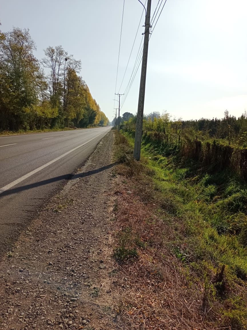 PHOTO-2023-04-20-17-17-39_1