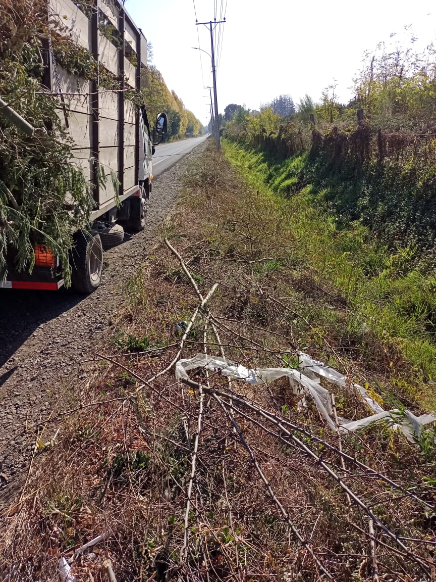 PHOTO-2023-04-20-17-17-39_3