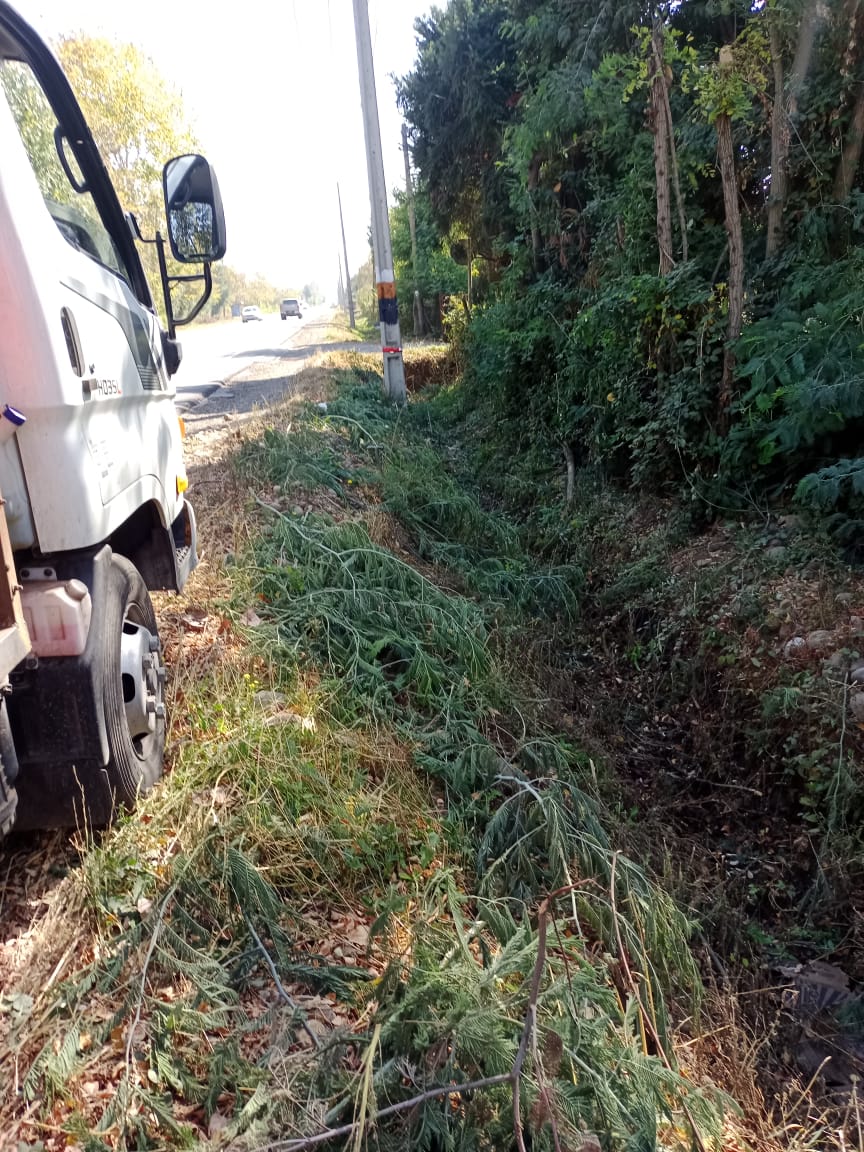 PHOTO-2023-04-20-17-17-40