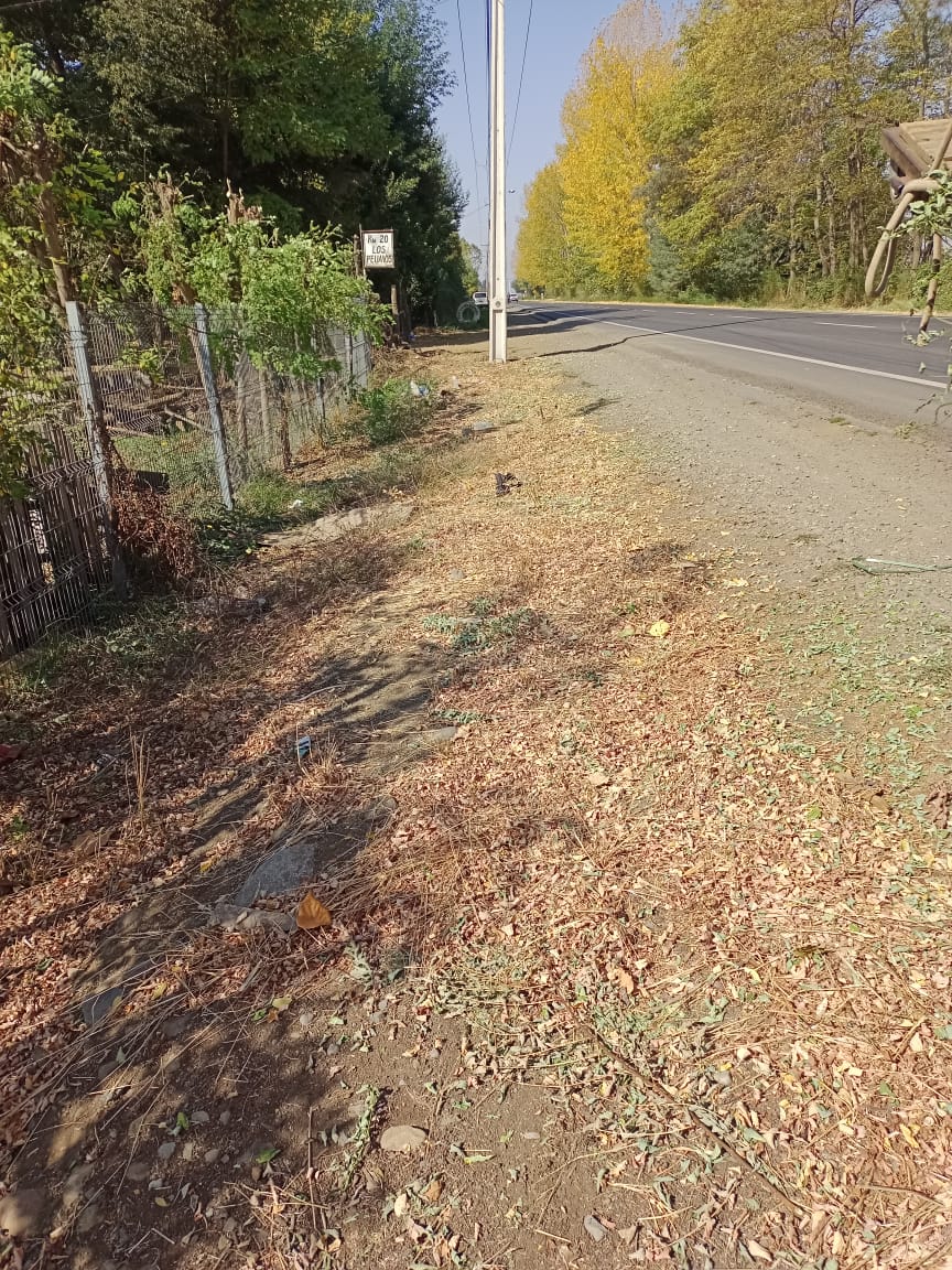 PHOTO-2023-04-20-17-17-40_1