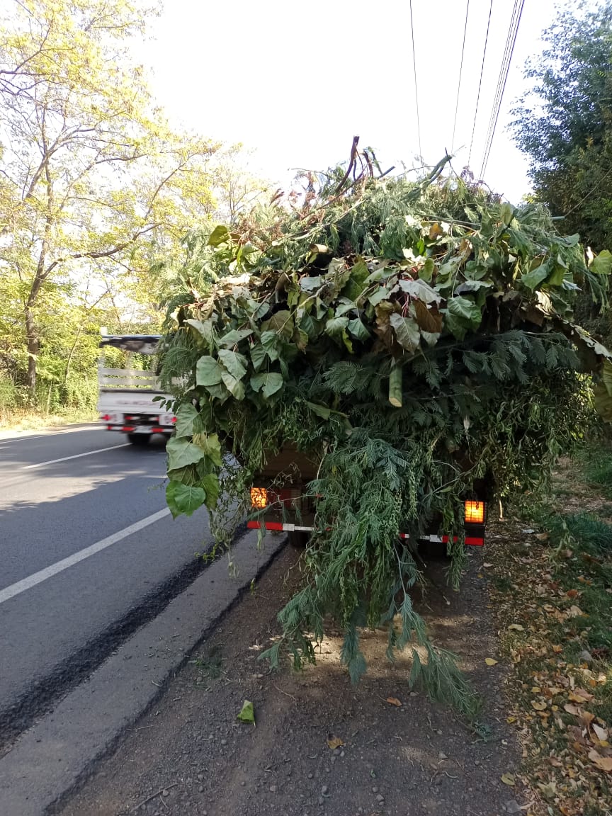 PHOTO-2023-04-20-17-17-40_2