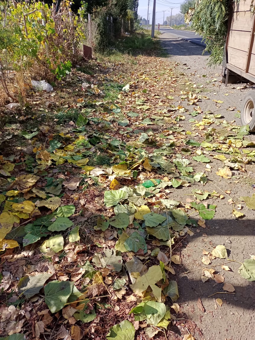 PHOTO-2023-04-20-17-17-40_3