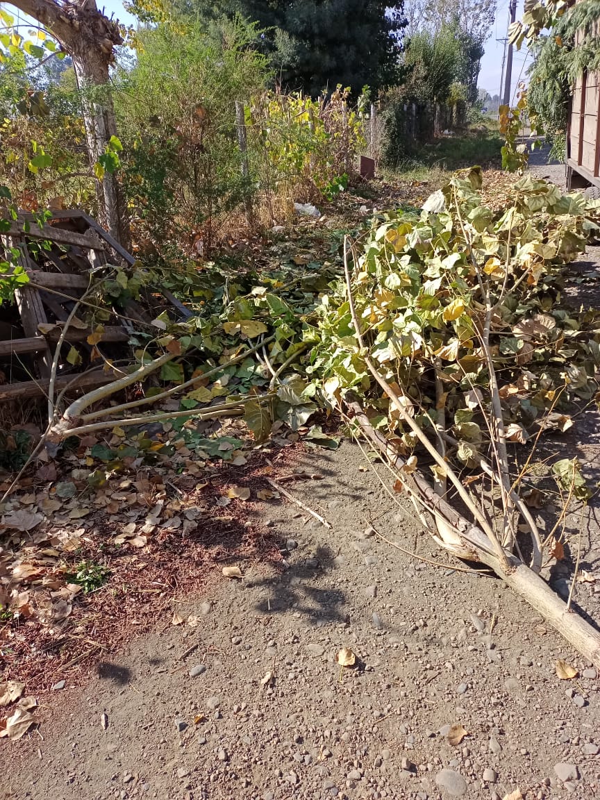 PHOTO-2023-04-20-17-17-40_4